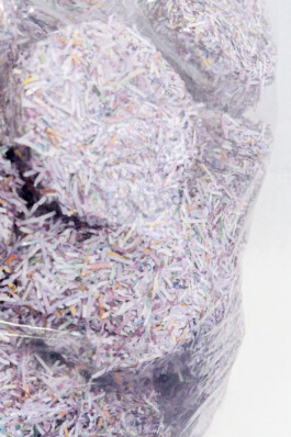 Rosanna Marie Pondorf