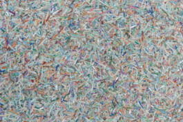 Rosanna Marie Pondorf