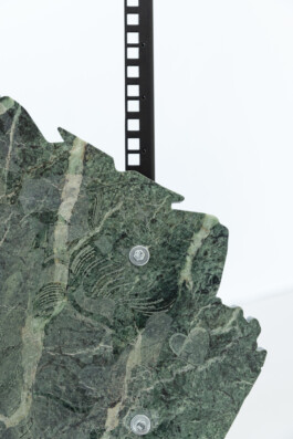 Rosanna Marie Pondorf