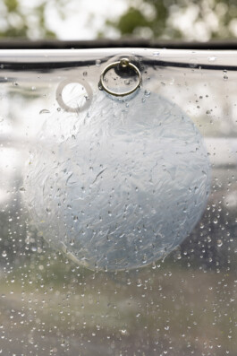 Rosanna Marie Pondorf