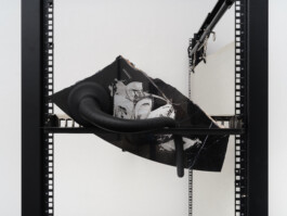 Rosanna Marie Pondorf