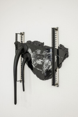 Rosanna Marie Pondorf